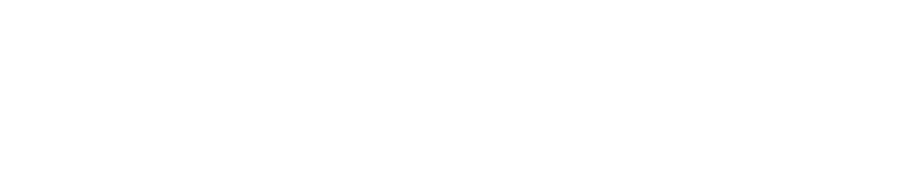 Luxury Escapes Group